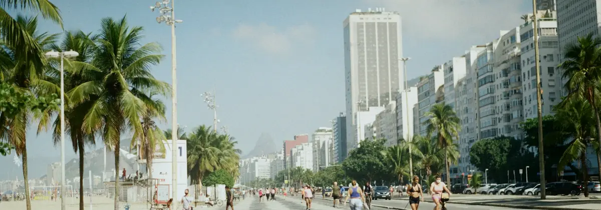 A palm-lined avenue in Rio de Janeiro