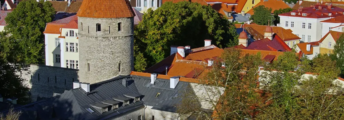 The red roofs of Tallinn's old town