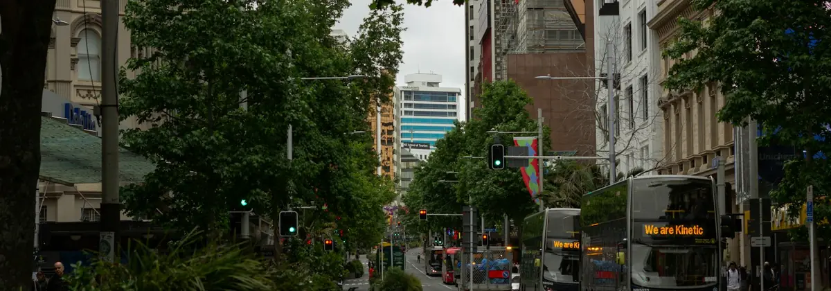 A tree-lined street in Auckland