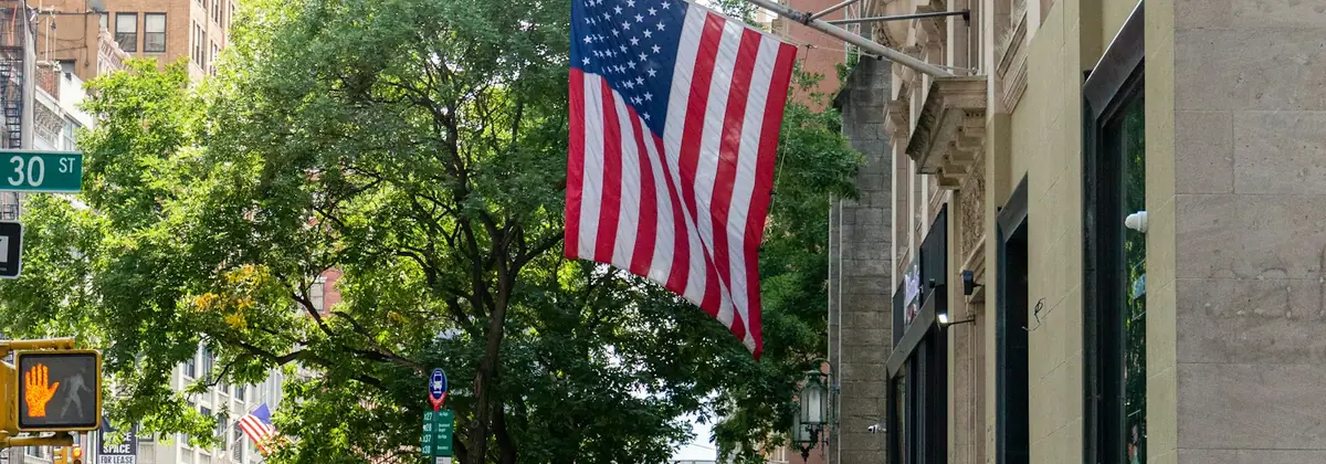 A US flag on a tree-lined American street